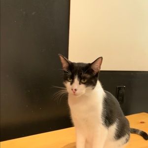 Meet your Posher, Mariko